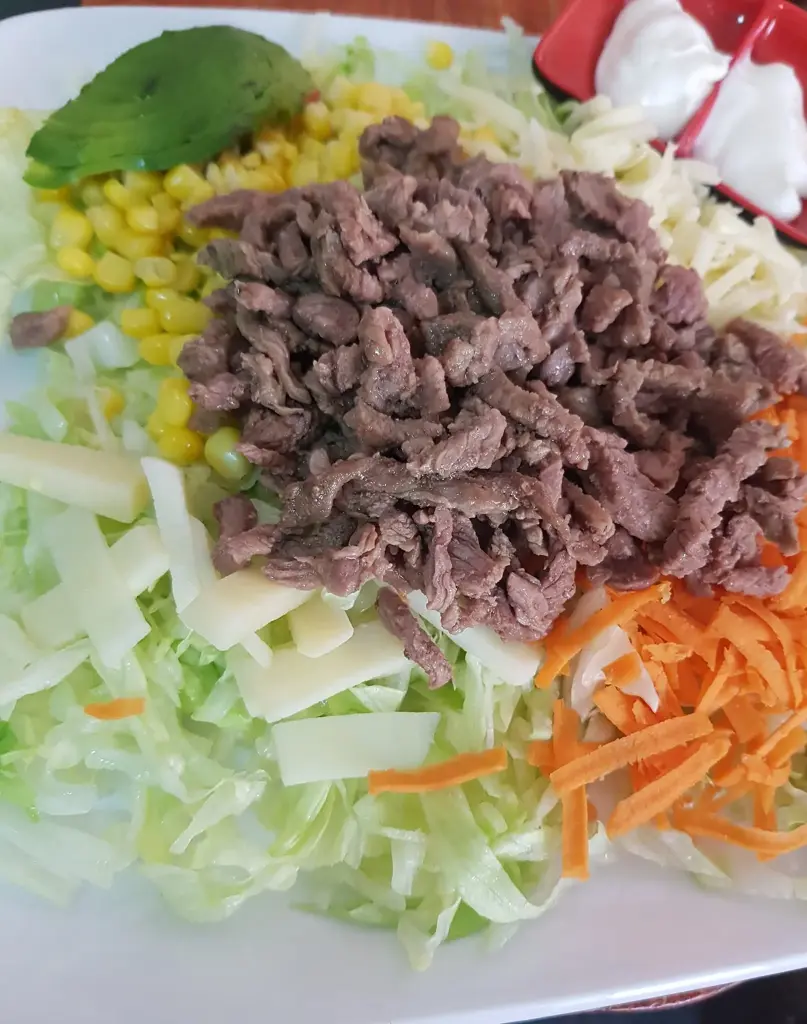 Vegetariano de carne