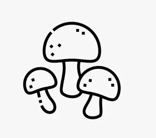 Champiñon