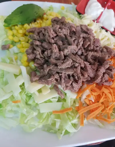 Vegetariano de carne